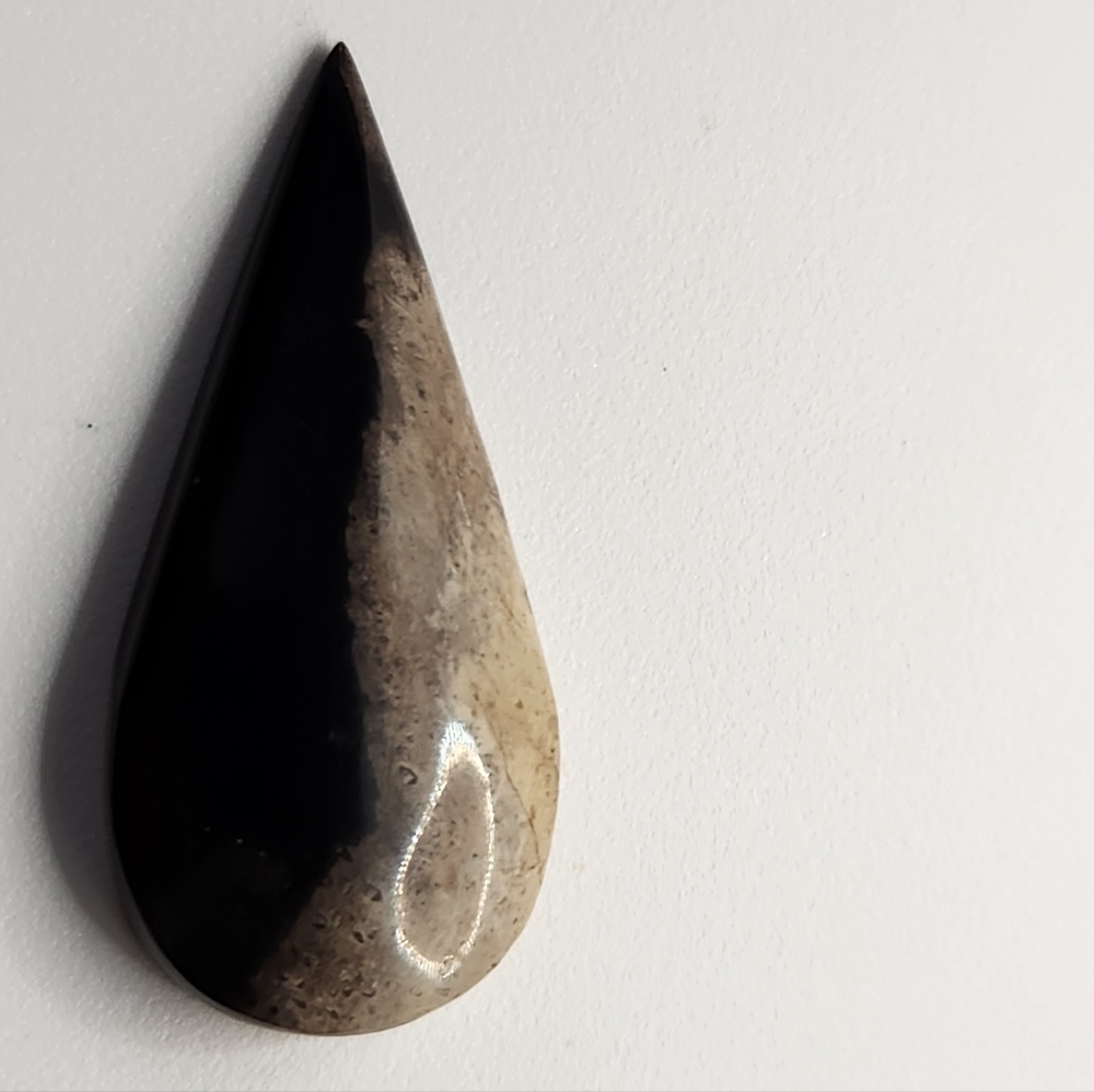 Palm root cabochon